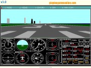 Microsoft Flight Simulator v3.0