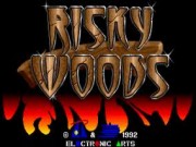 Risky Woods on Msdos game