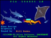 VGA Sharks