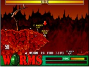 Worms on Msdos Game